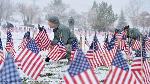 Veteran’s Day Flags