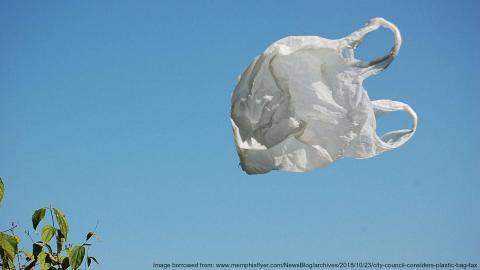 plastic bag in memphis